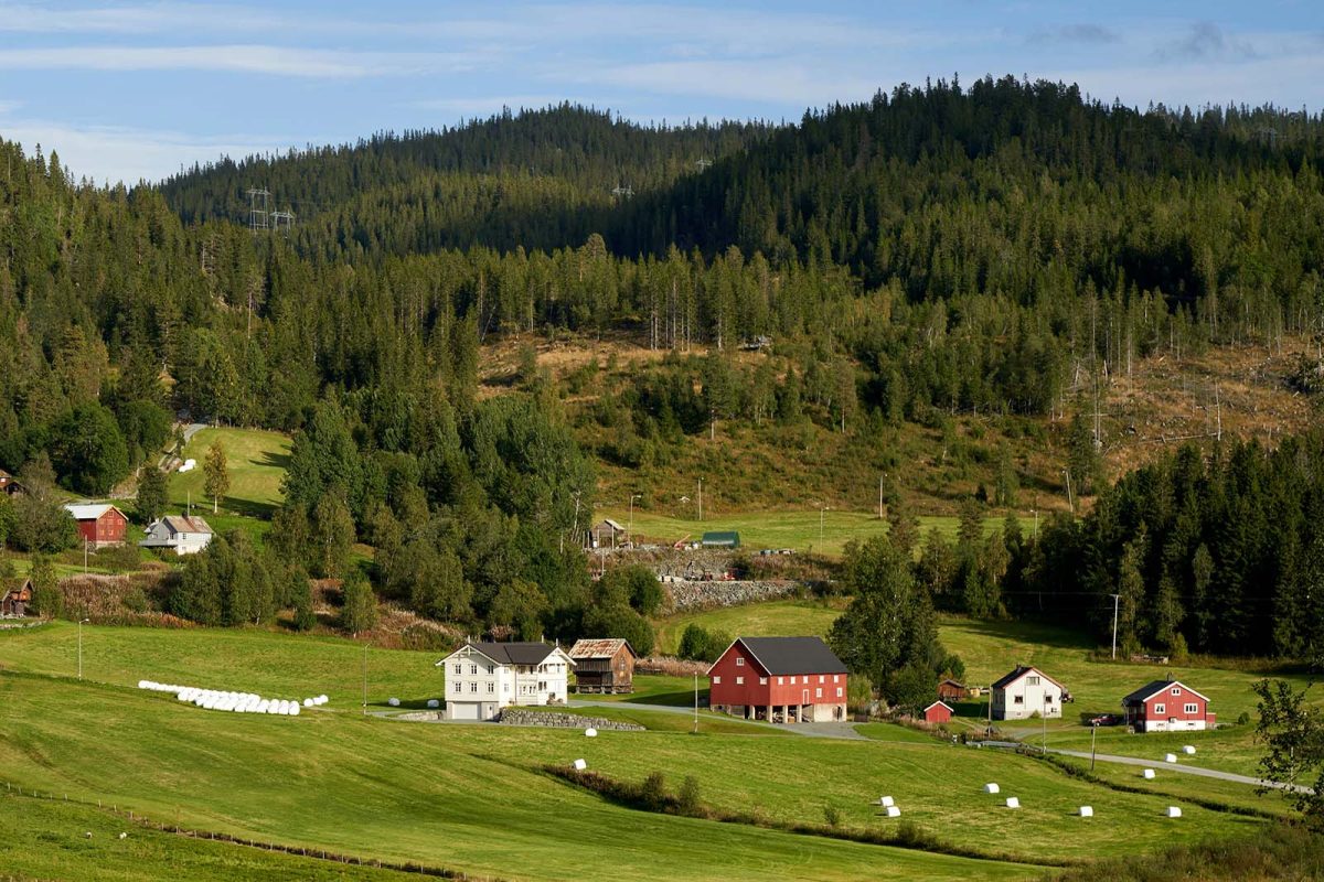 Landbruk_V2_barnabas-davoti-2wLNkr8fq4o-unsplash